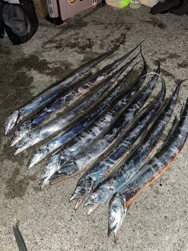 明石浦漁港