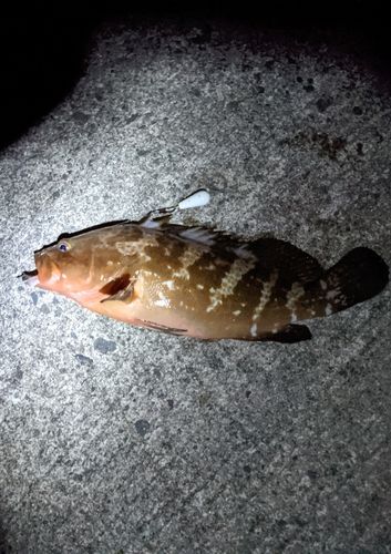 米子漁港
