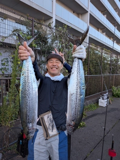 イサキの釣果