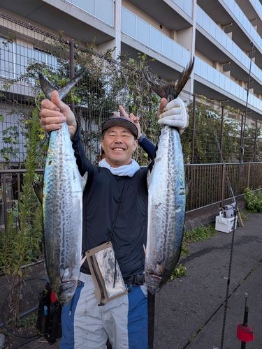 東京湾湾奥