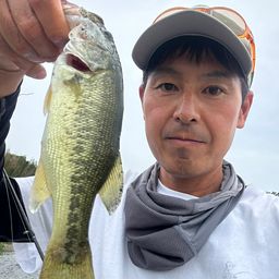 ラージマウスバス