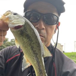 ブラックバス