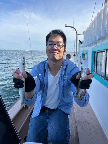 カマスの釣果