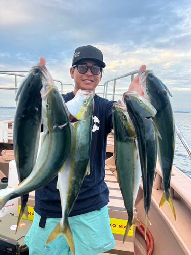 ツバスの釣果