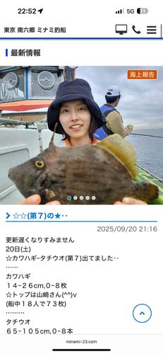 カワハギの釣果