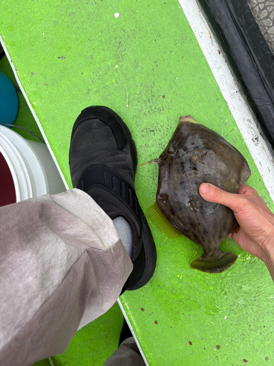 さつき@団子釣りさんの釣果 3枚目の画像