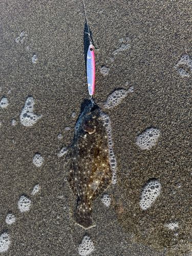 富士サーフ