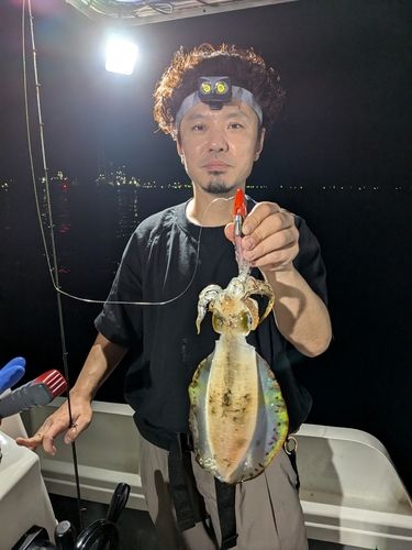 大阪湾