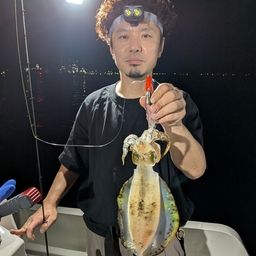 アオリイカ