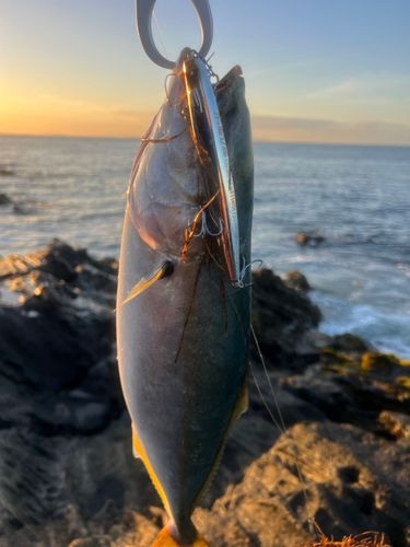 三浦半島