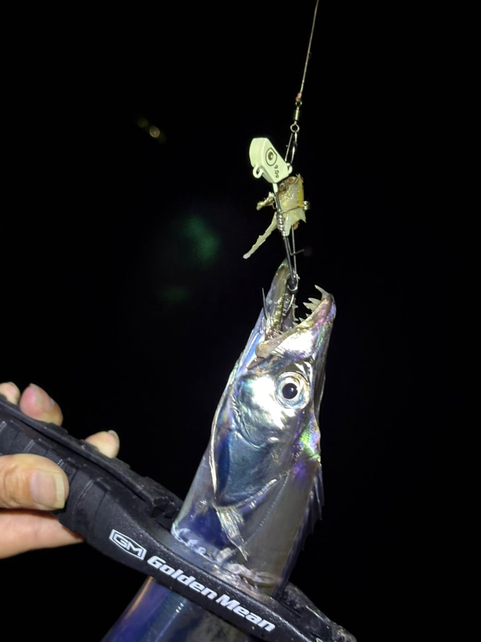 OCEAN GATE（オーシャンゲート）ライトゲームミックス　JOG-76L-K ジャクソン オーシャンゲート ライトゲームミックス JOG-76L-K