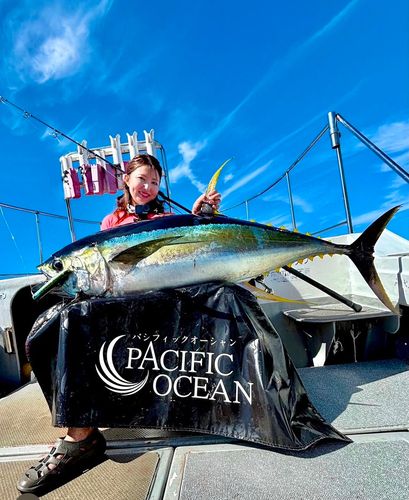 キハダマグロの釣果