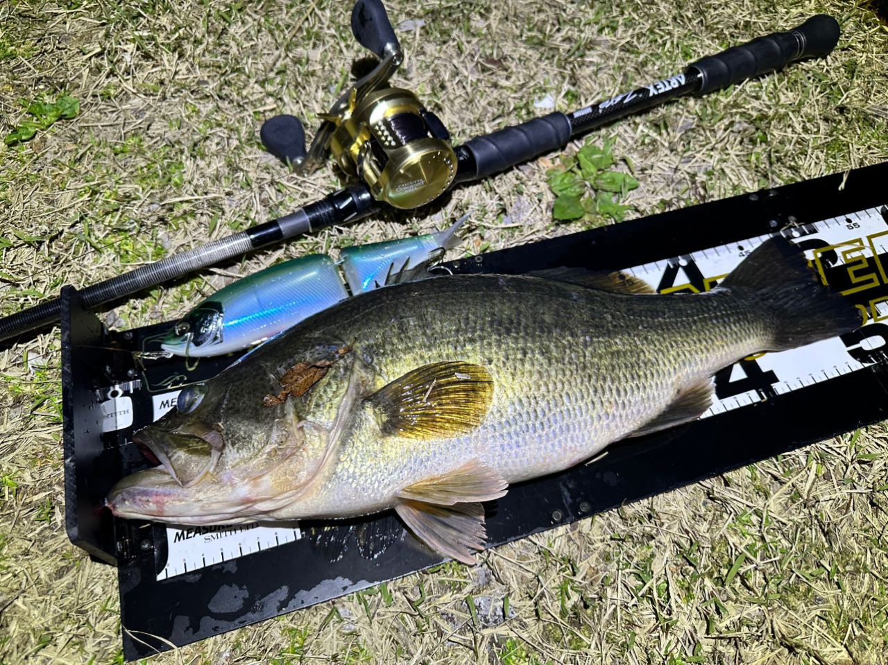 シマノ　23カルカッタコンクエストMD 300XGLH シマノ 23 カルカッタコンクエスト MD 301XGLH 左ハンドル (2023