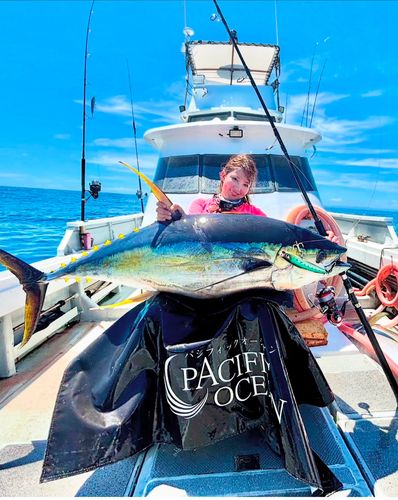 キハダマグロの釣果