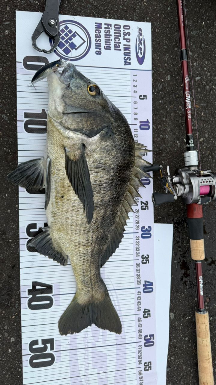 SHIMANO 23カルカッタコンクエスト BFS XG LEFTの最安値