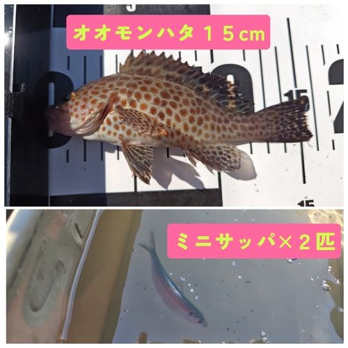 親水広場