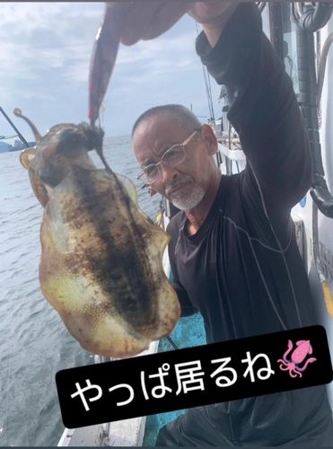 釣果