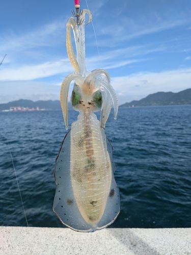 しまなみ海道