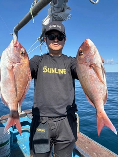 タイの釣果