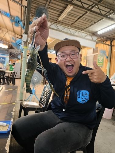 オニテナガエビの釣果