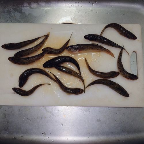 敦賀湾