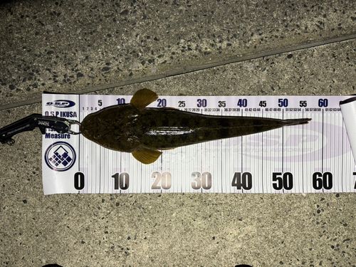 常滑りんくう釣り護岸