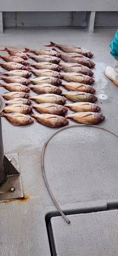 明石海峡