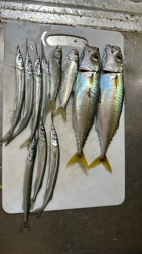 地御前漁港