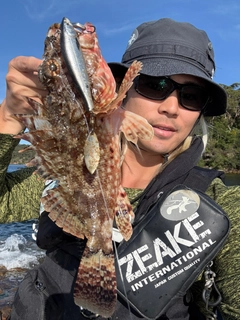 オニカサゴの釣果