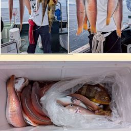シロアマダイ