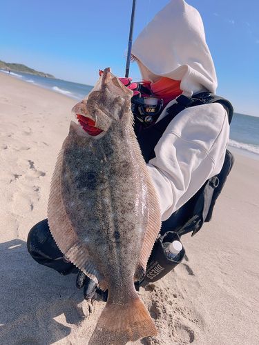 伊良湖サーフ