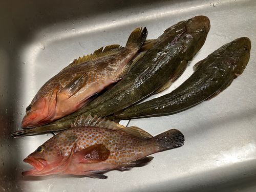 大村湾（北部）