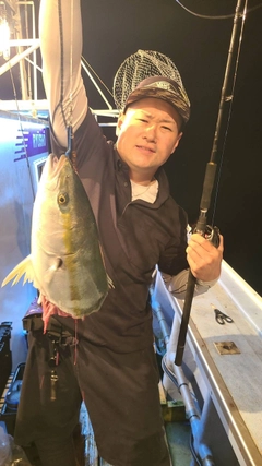 ブリの釣果