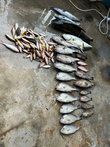 江ノ島裏磯