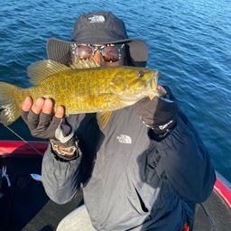 スモールマウスバス