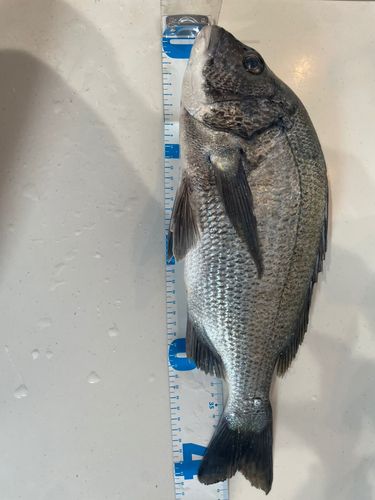 釜谷浜海水浴場