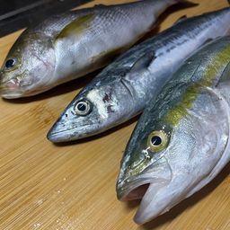 ヤズ