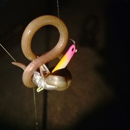 ダイナンウミヘビ