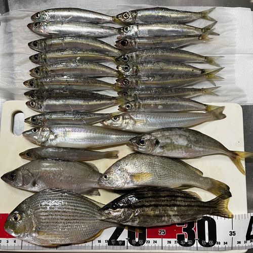 釣果