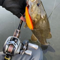 スモールマウスバス