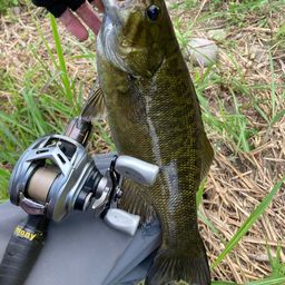 スモールマウスバス