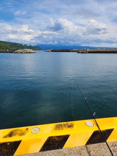 サンバソウの釣果