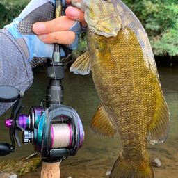 スモールマウスバス