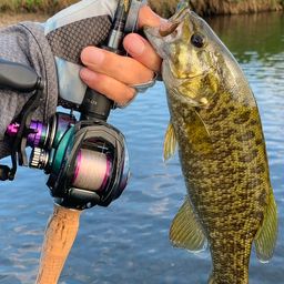 スモールマウスバス