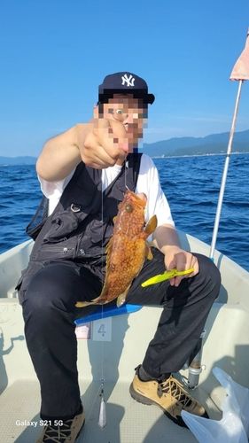 若狭湾