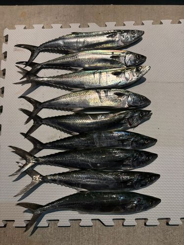 軍艦防波堤