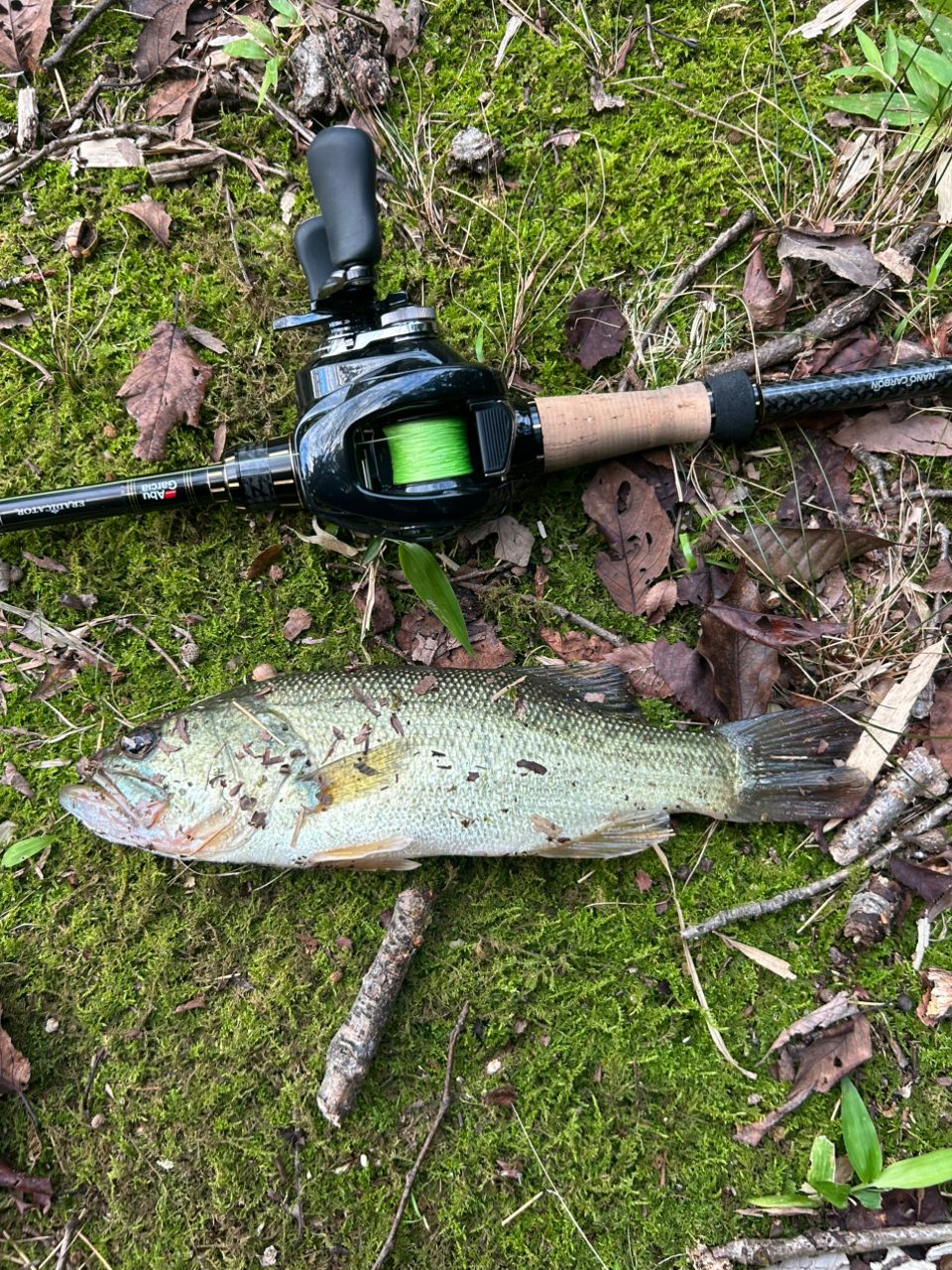 AbuGarcia エラディケーター ロックスイーパー ERSC-777H-MLの最