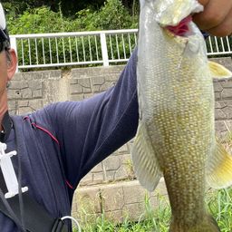 スモールマウスバス