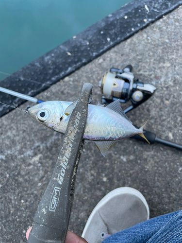 表浜名湖
