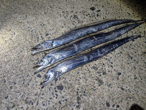 豊浜漁港